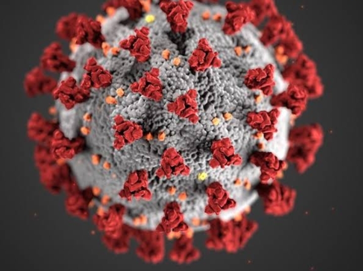 Coronavirus 